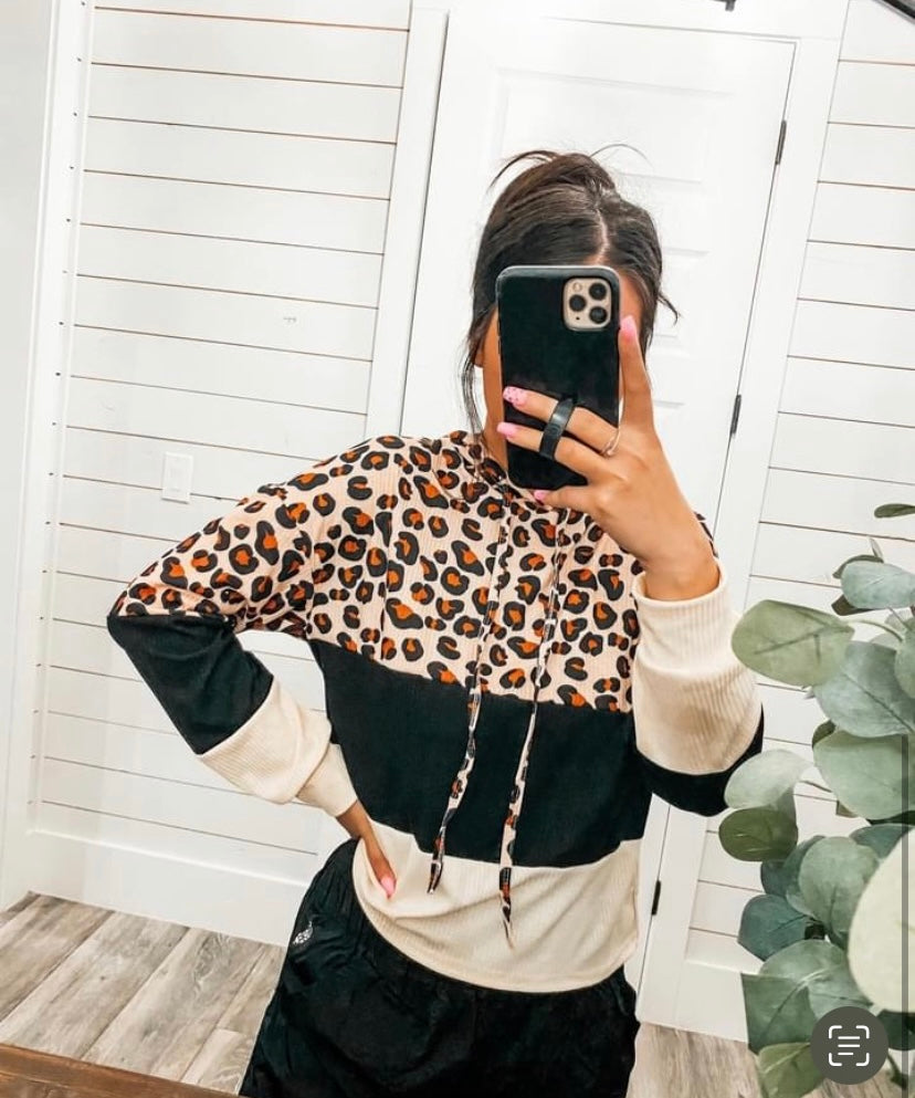 Leopard Colorblock Rib Knit Hoodie